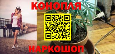 дурь Будённовск