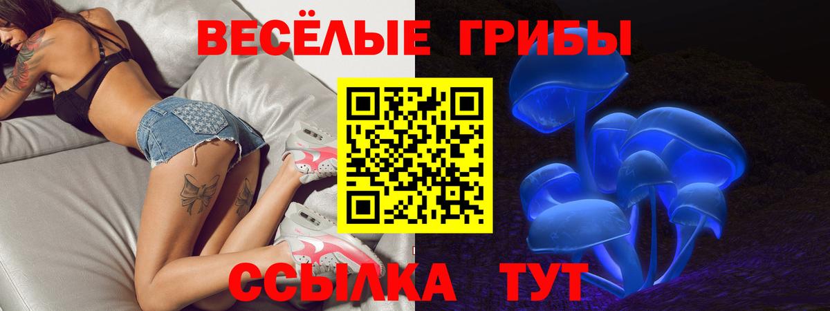 Галлюциногенные грибы GOLDEN TEACHER Электросталь